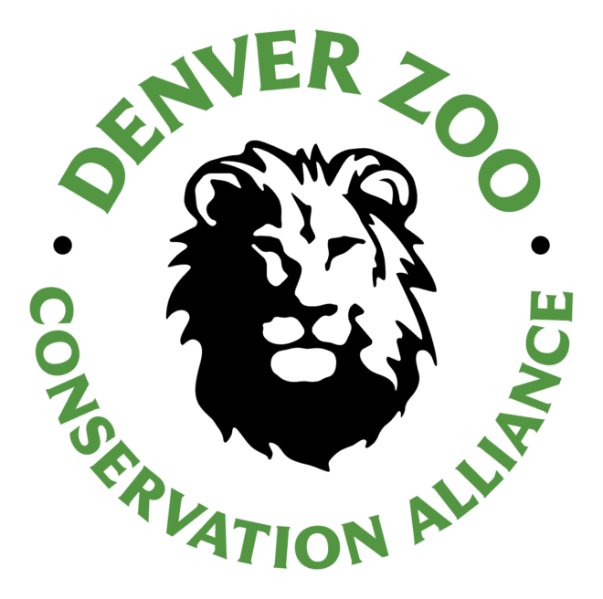 DZCA logo
