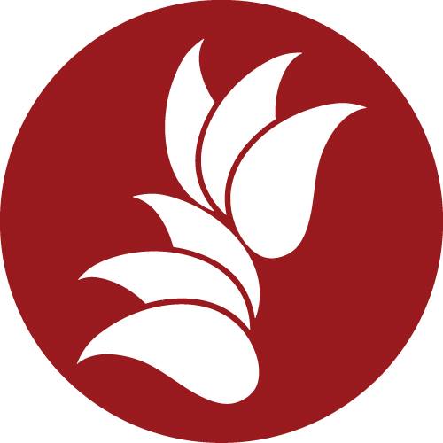 Mudra Dance logo