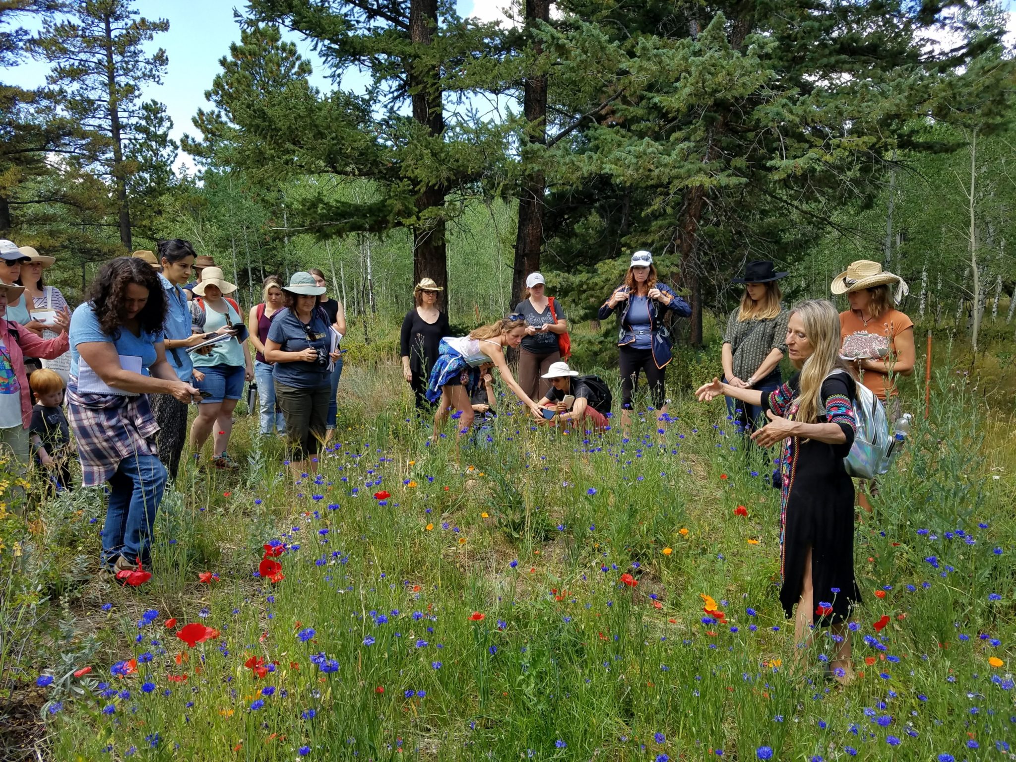 Hikers participating in an activity with Wild Bear Nature Center
