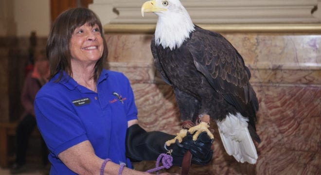 Hawkquest with an eagle at the Capitol