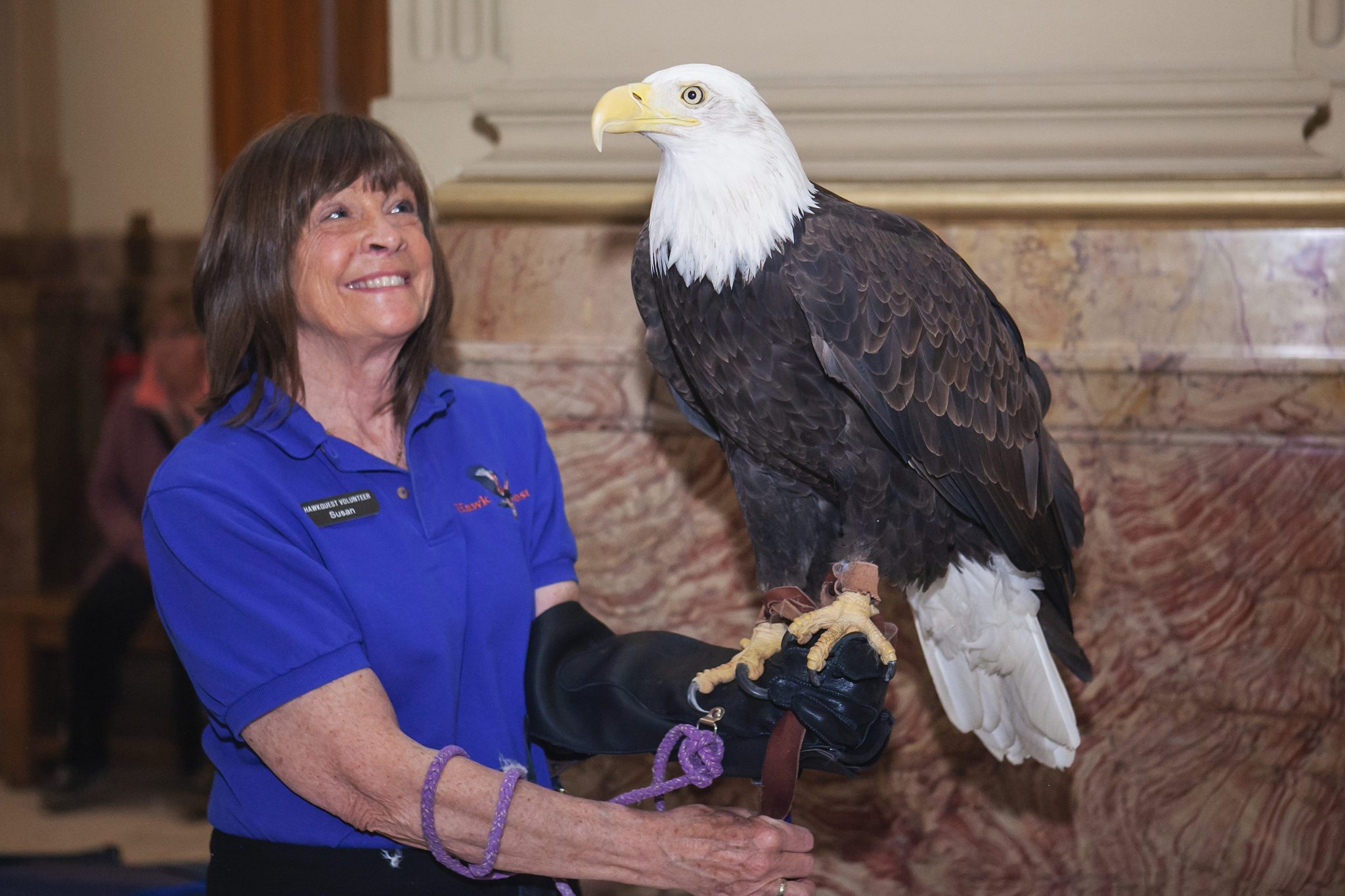 Hawkquest with an eagle at the Capitol