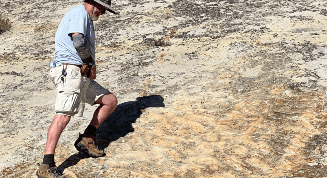 Dr. Martin Lockley, the late co-founder of Dinosaur Ridge, examining trace fossils on a rocky slope.