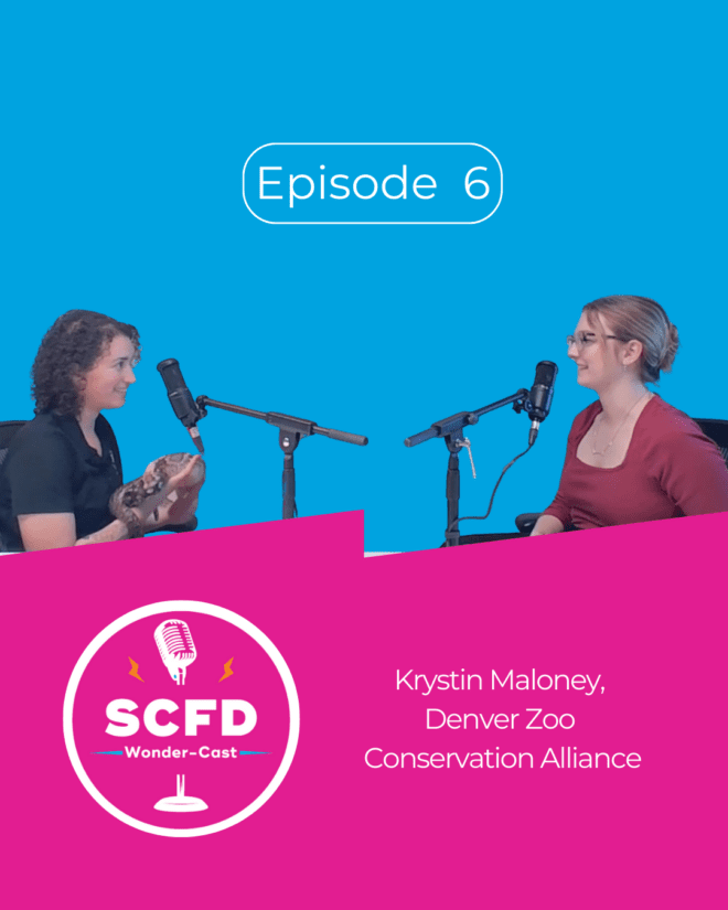 SCFD Wonder-Cast host Emma sits across from Animal Care Specialist Krystin at a white table on a blue background